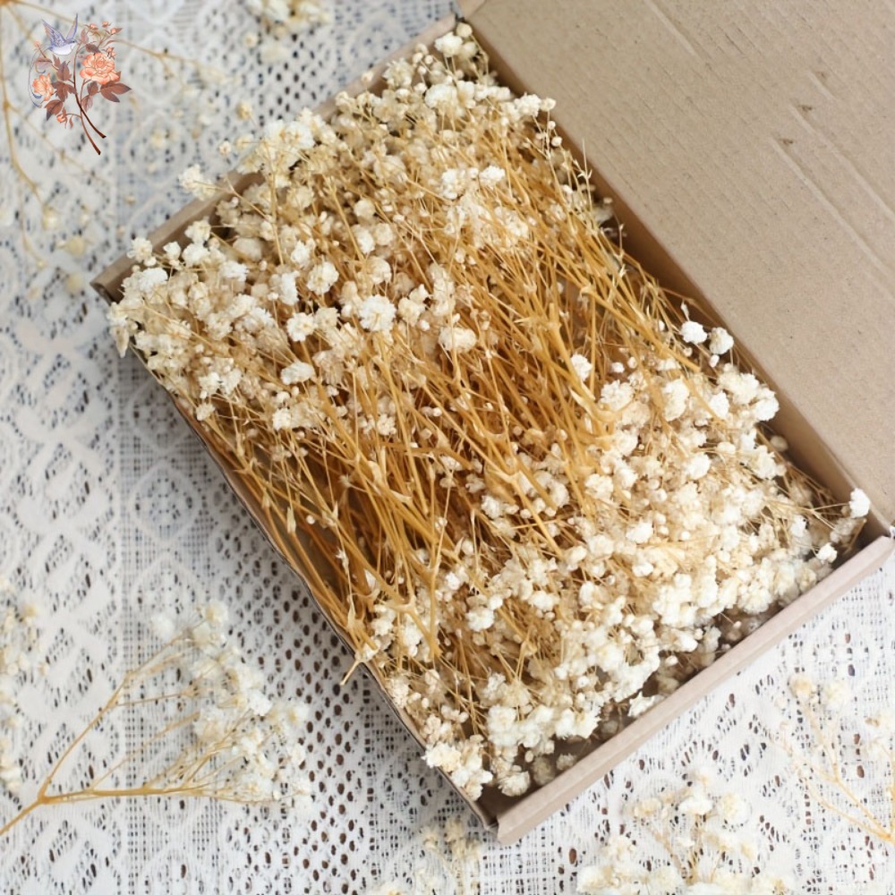 Embellish Craft - 100 Piezas de Flores Secas de