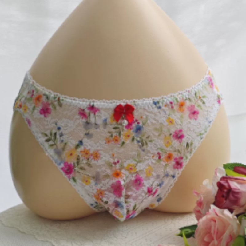 Calzoncillos de Encaje Transpa - Embroidery Embellishments reseña y precio