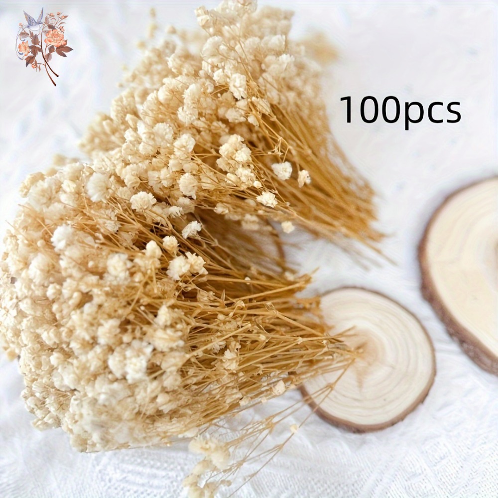 100 Piezas de Flores Secas de  - Embellish Craft reseña y precio